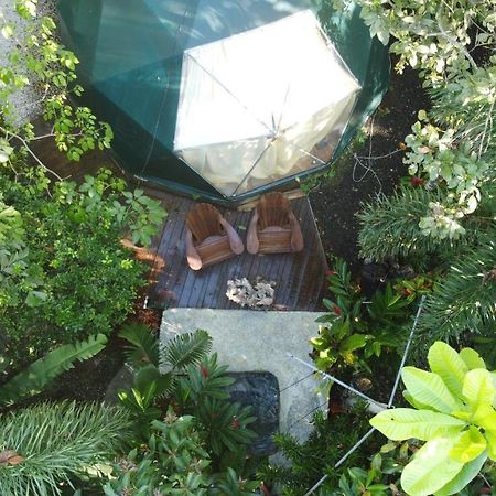 Momotus Glamping Hotel Florencia Exterior photo