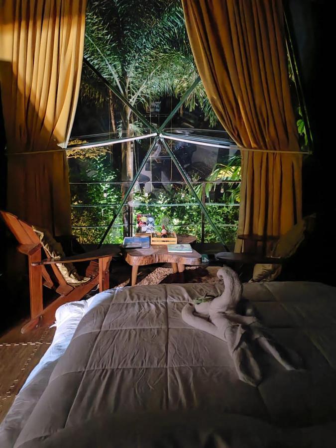 Momotus Glamping Hotel Florencia Exterior photo