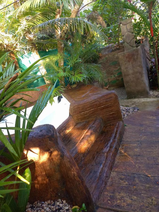 Momotus Glamping Hotel Florencia Exterior photo