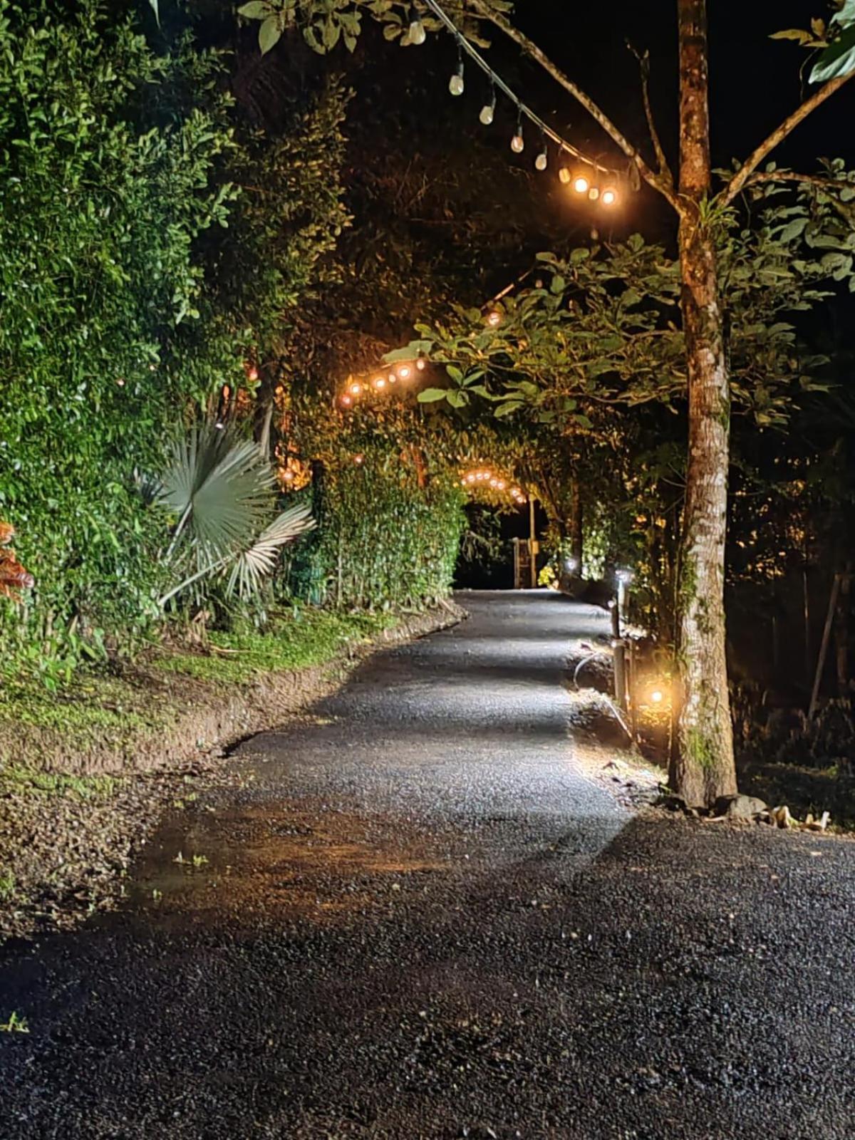 Momotus Glamping Hotel Florencia Exterior photo