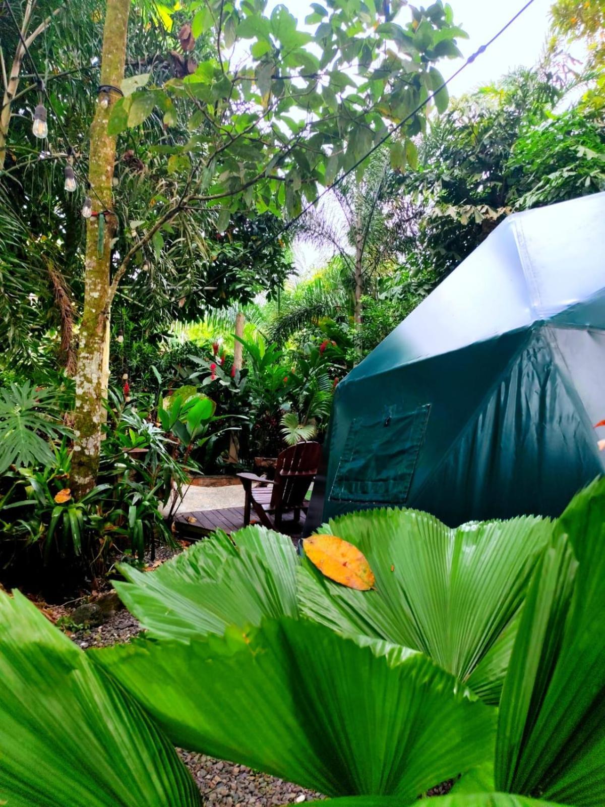 Momotus Glamping Hotel Florencia Exterior photo